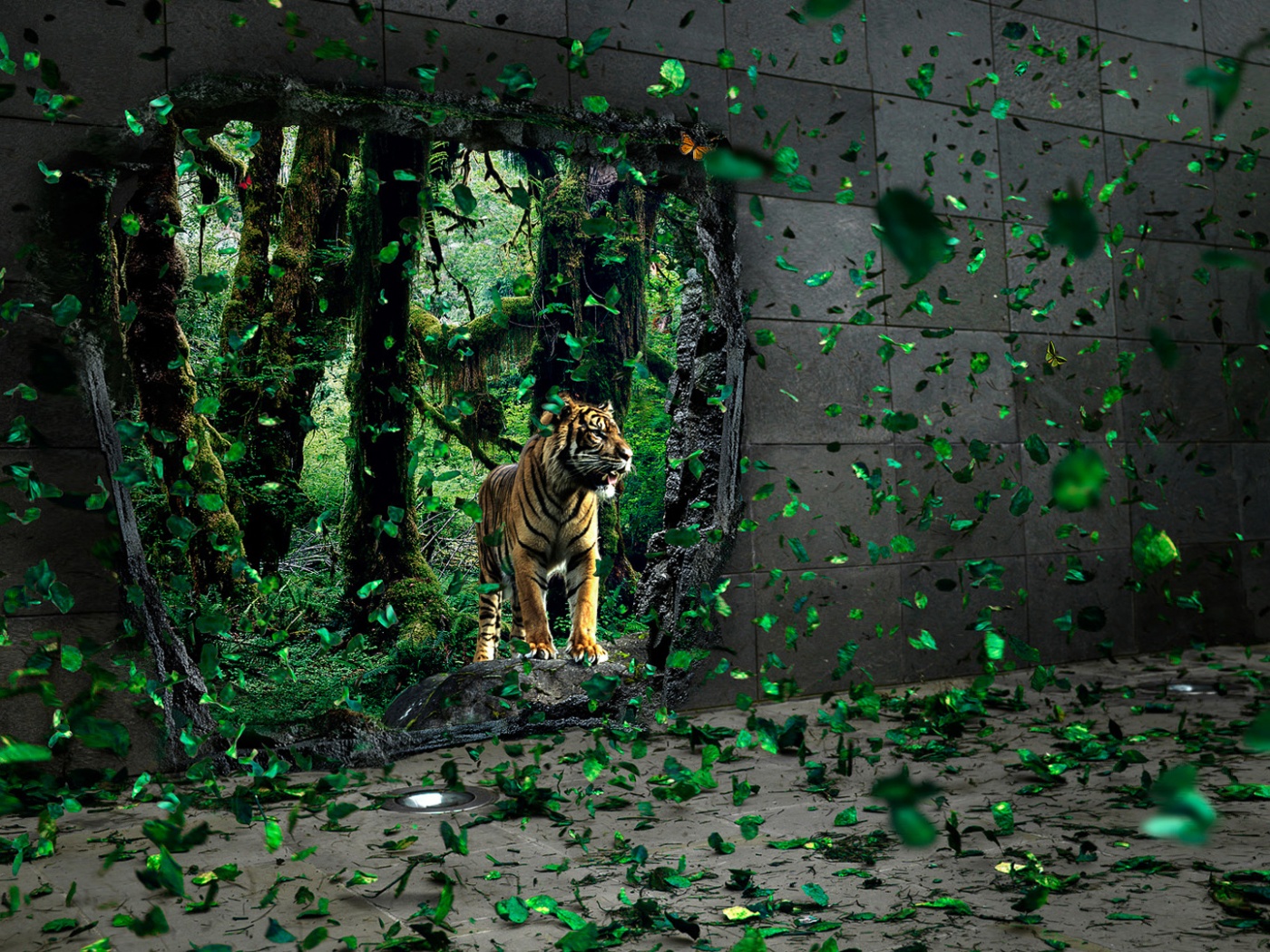 Портал в джунги обои