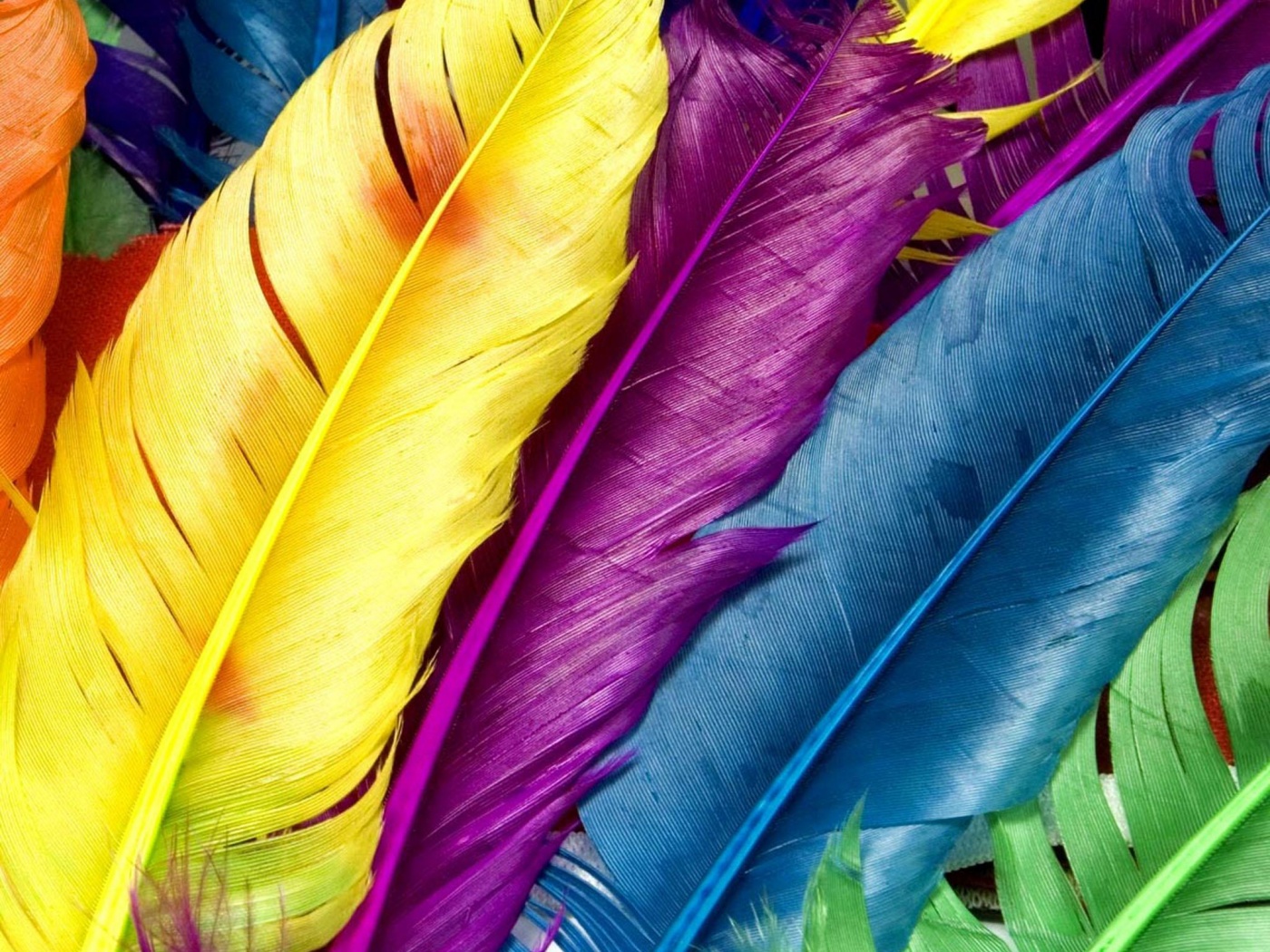 Разноцветные перья обои