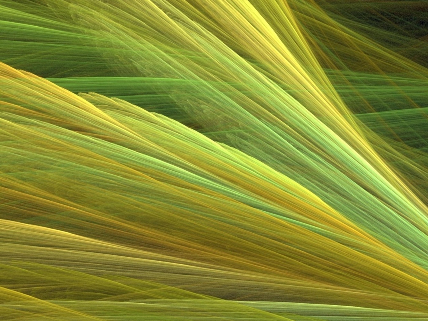 Прозрачные зеленоватые крылья обои