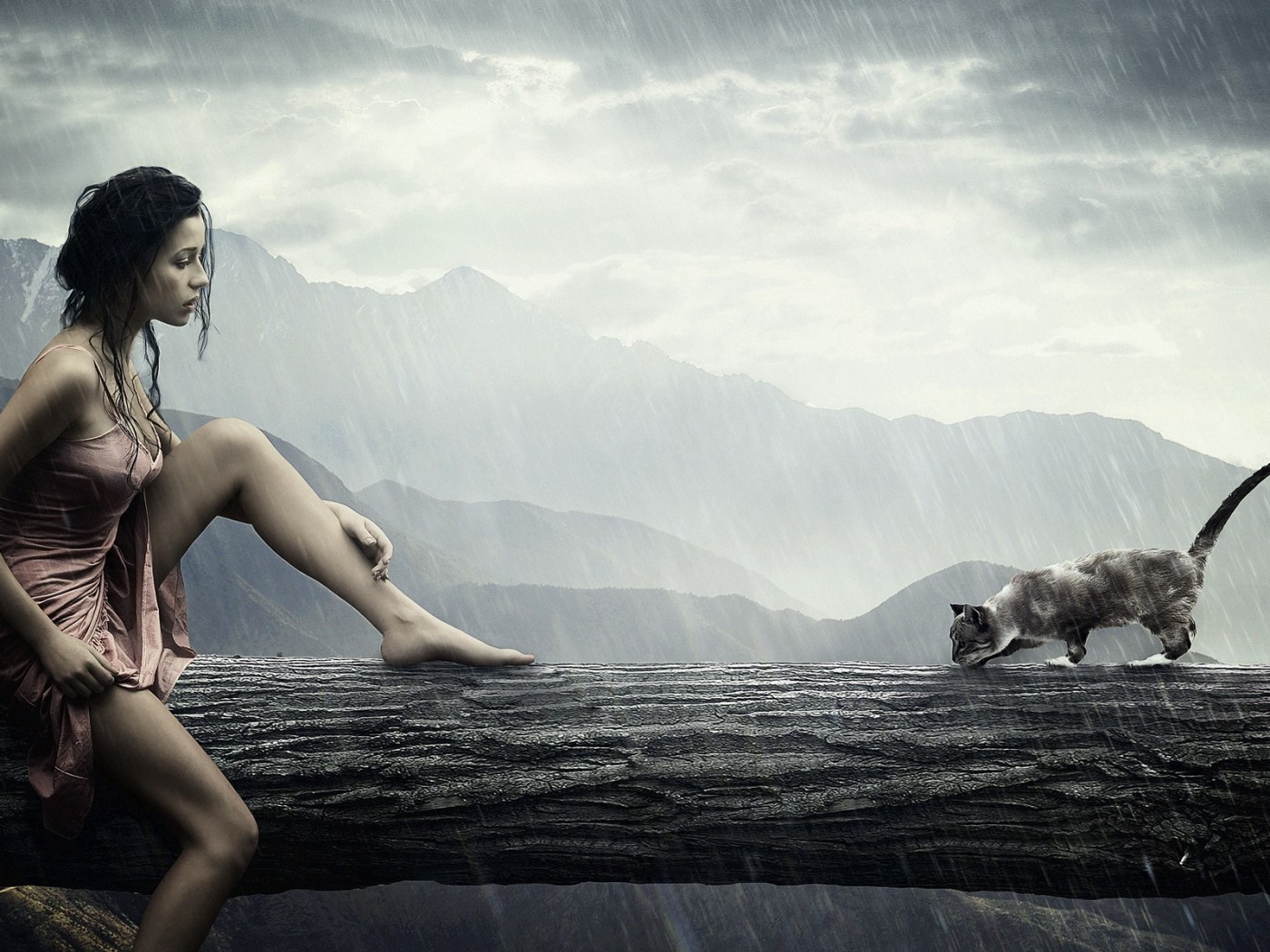 Девушка и кошка обои