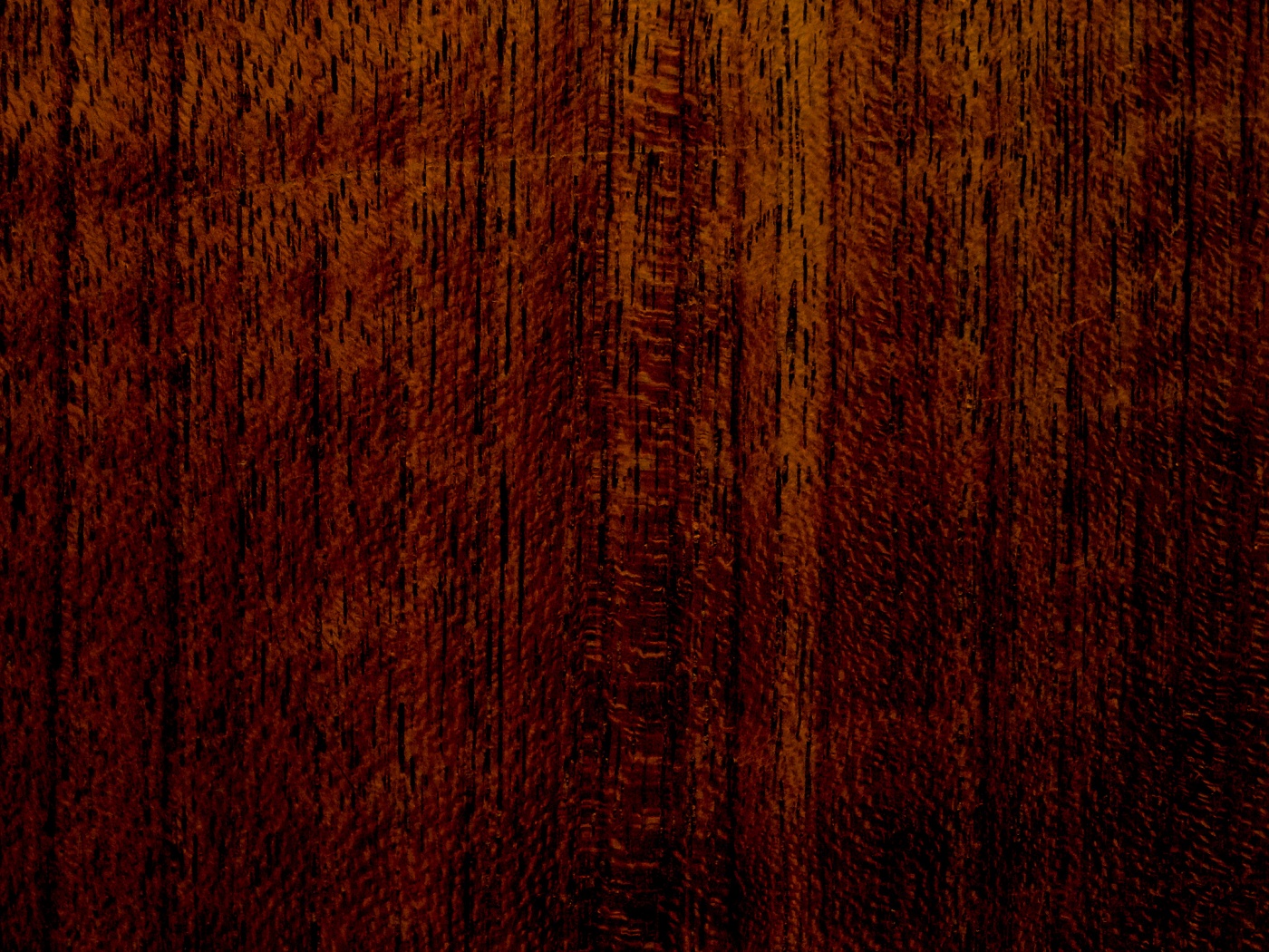 Темно-оранжевое дерево обои