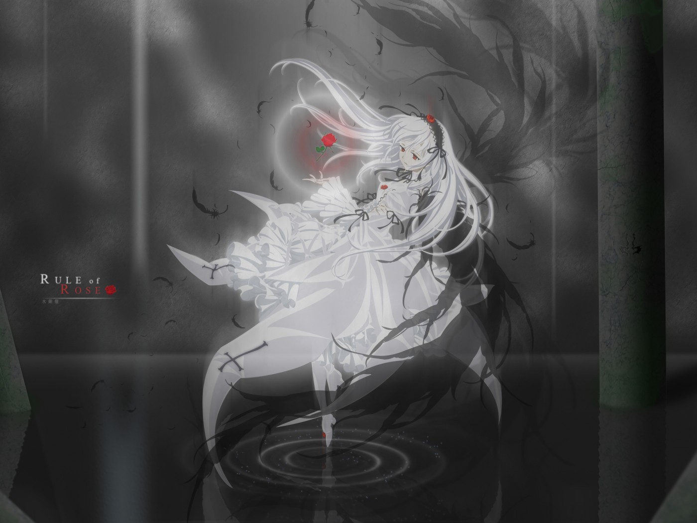 Rule of rose обои