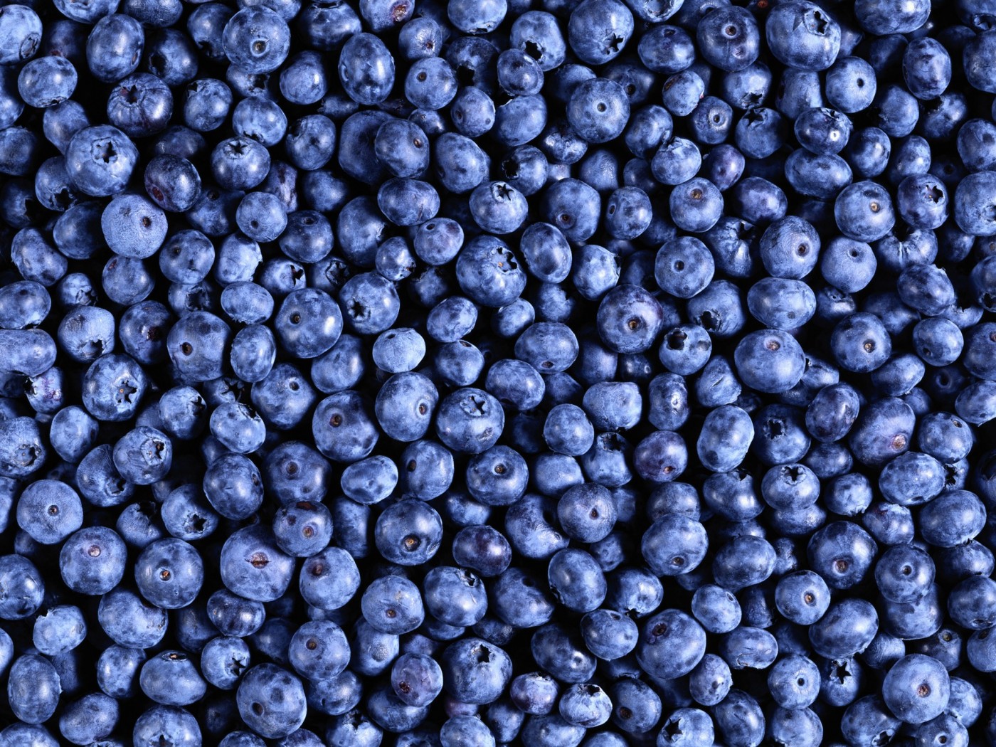 Черника обои