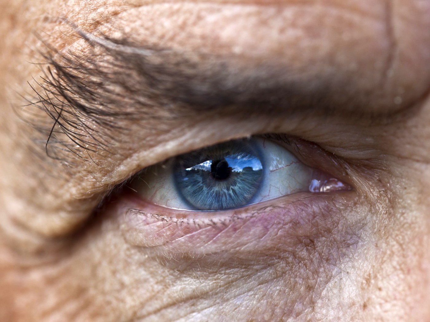Глаз пожилого человека обои