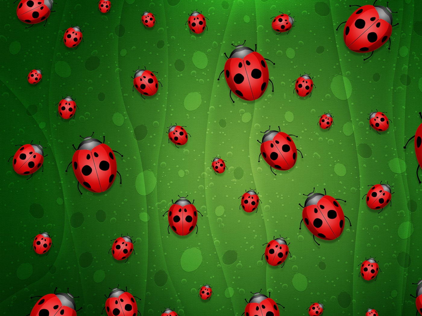Божьи коровки обои