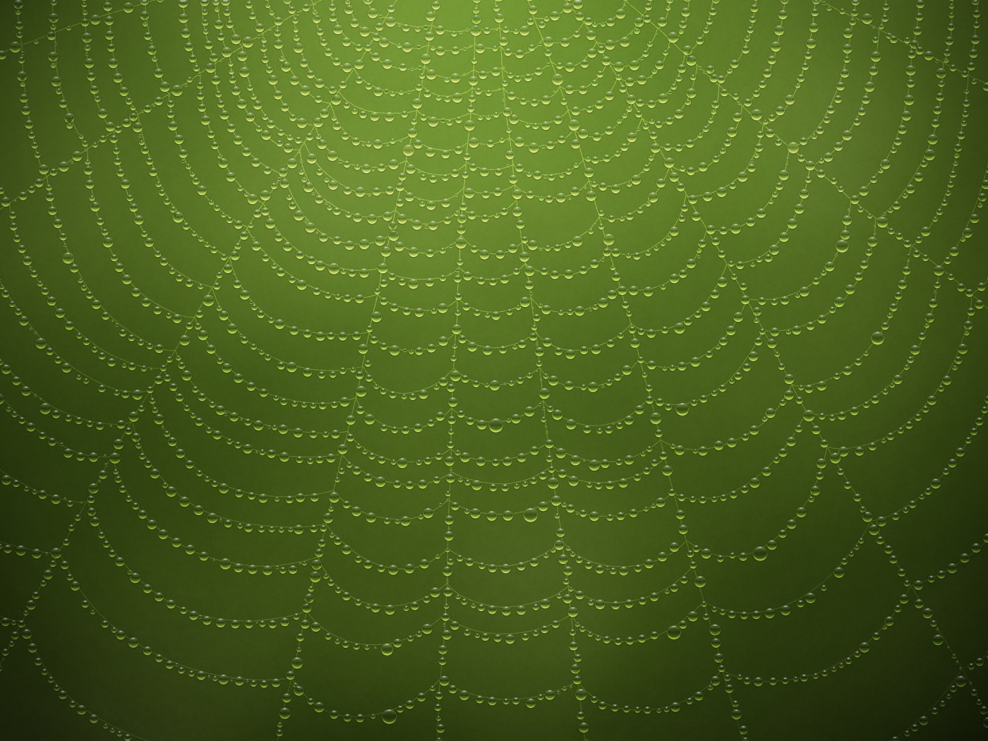Роса на паутине обои