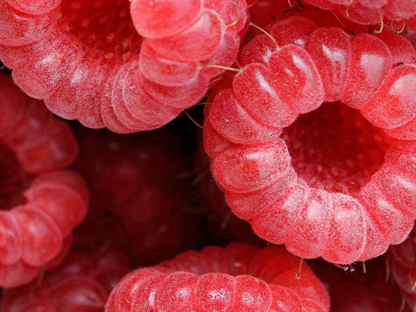 Малина обои