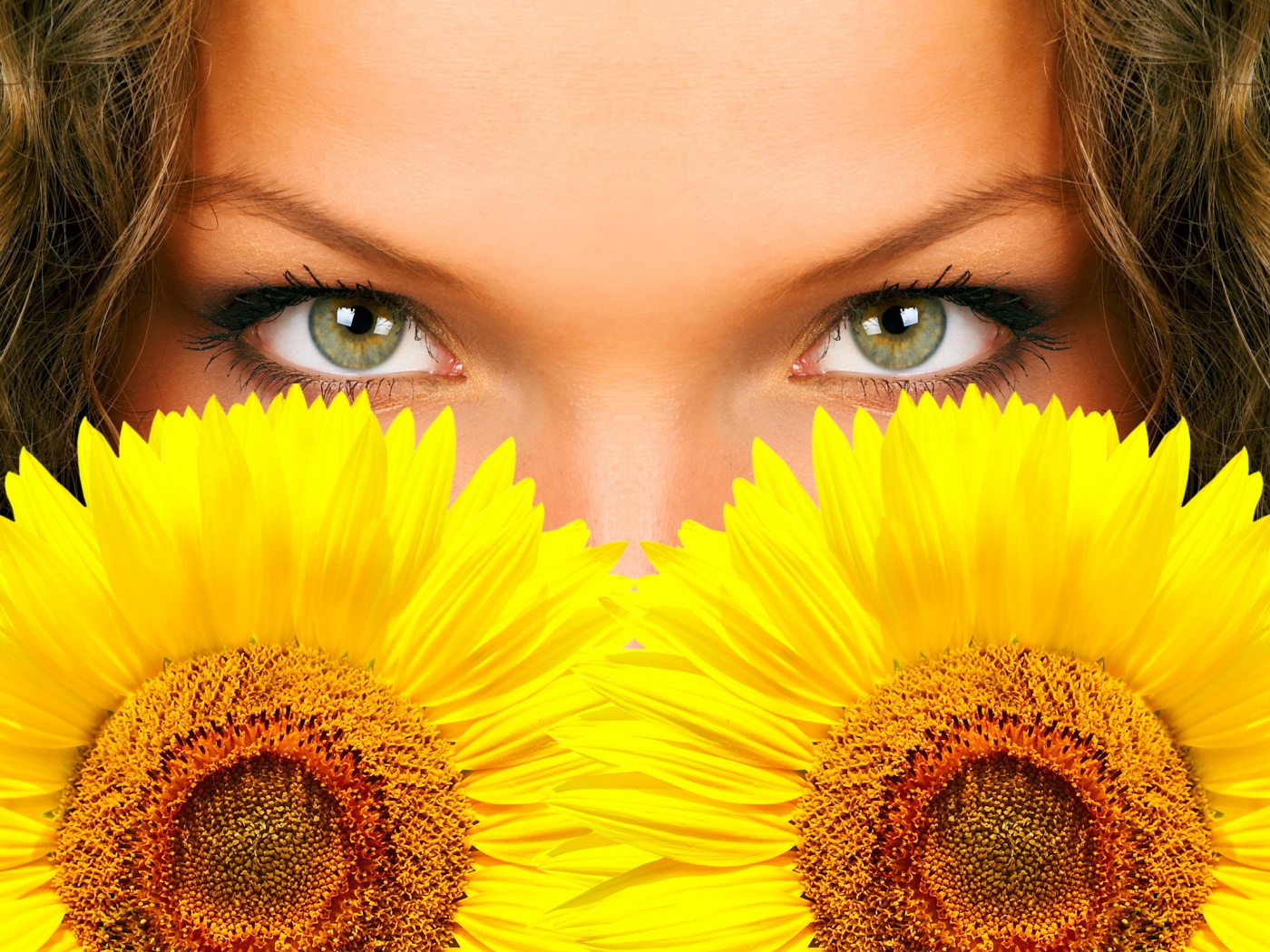 Девушка с желтыми ромашками обои