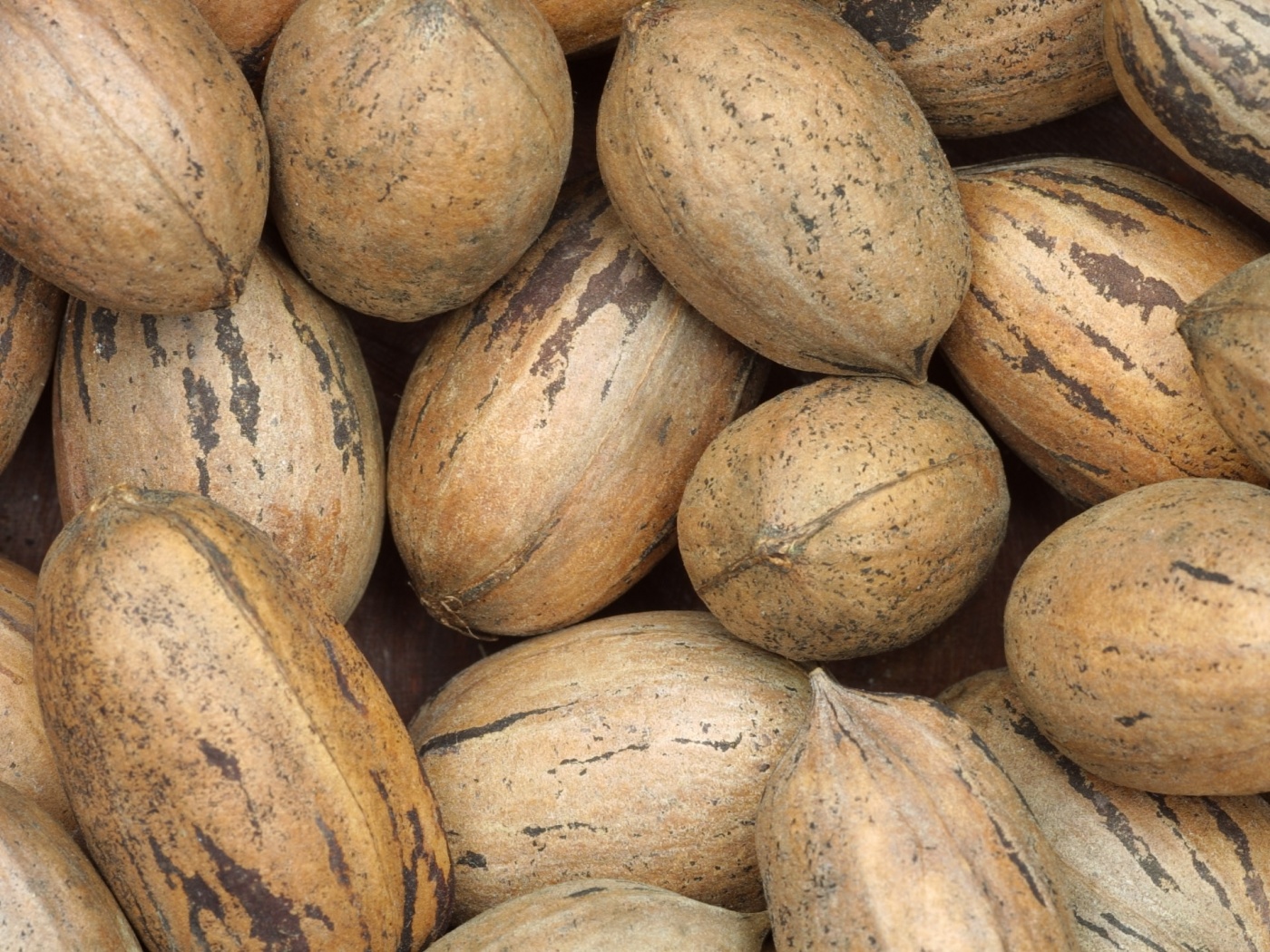 Грецкие орехи обои