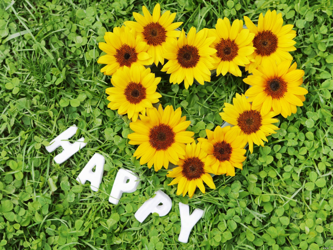 Радость обои