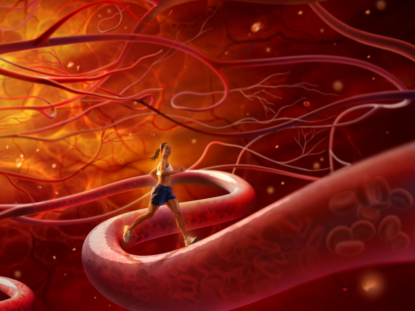 Бег крови обои