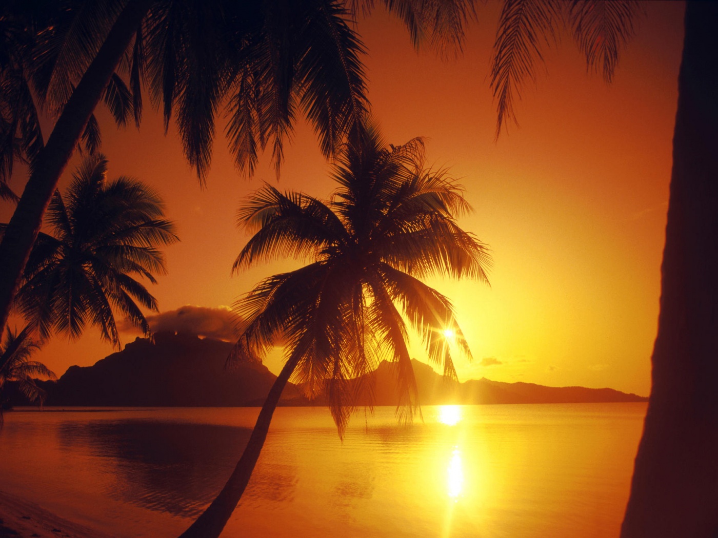 Закат в раю обои