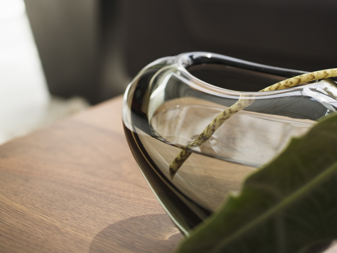 Ваза с листом обои