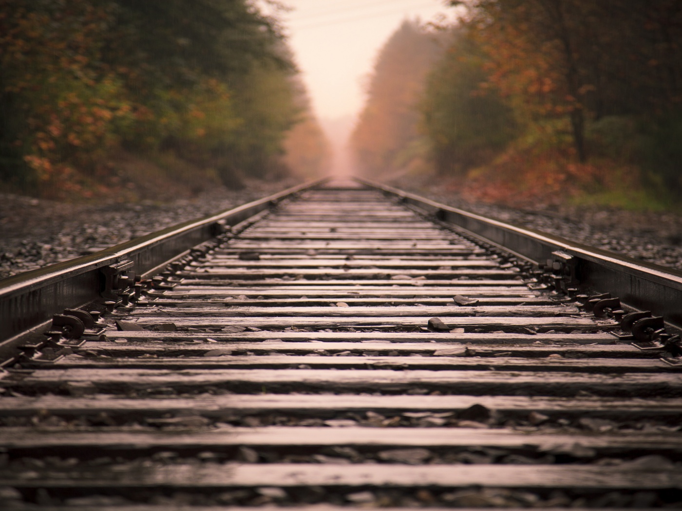 Железная дорога после дождя обои