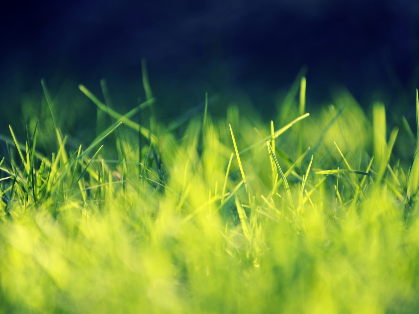 Играя солнечным светом обои