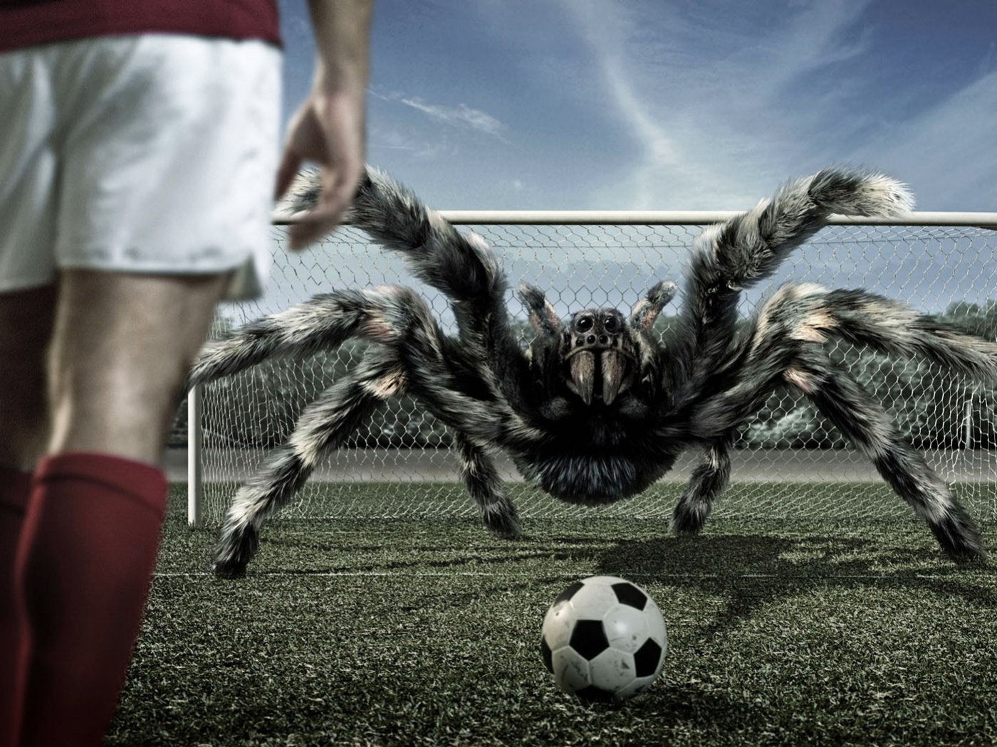 Вратарь обои