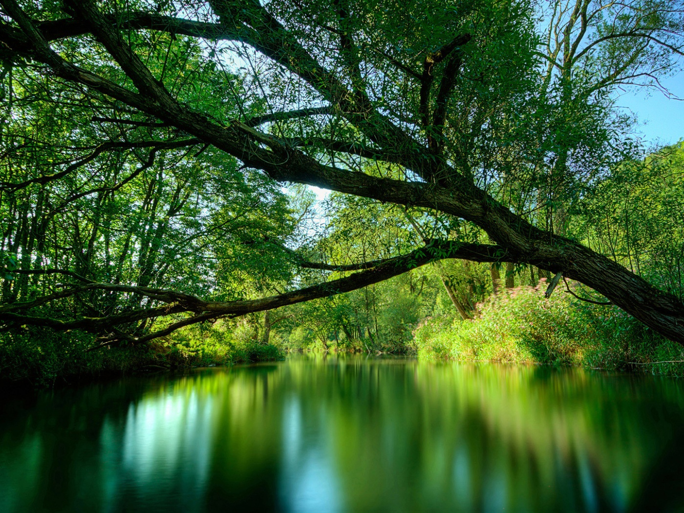 Спокойная лесная река обои