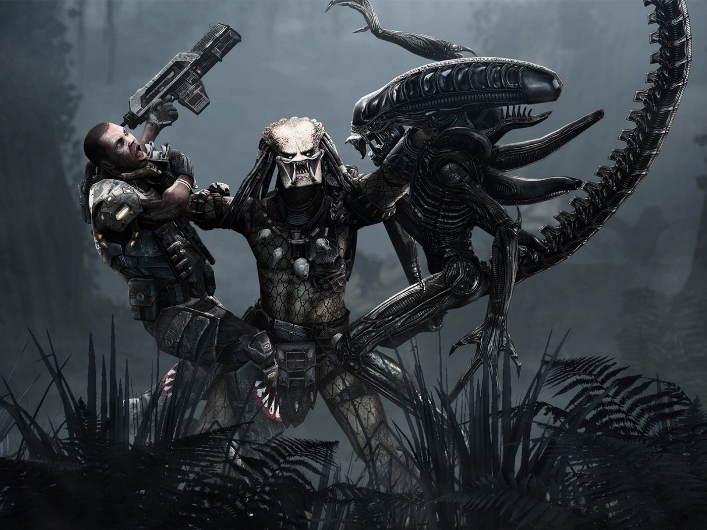 Чужой против Хищника обои