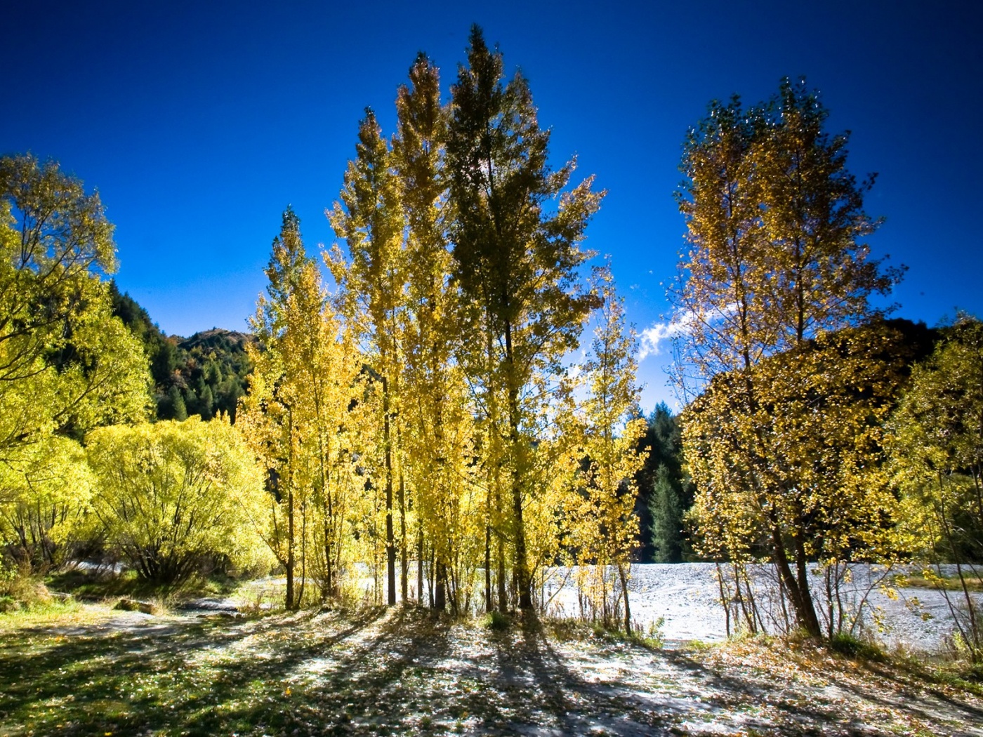 Осень в Новой Зеландии обои