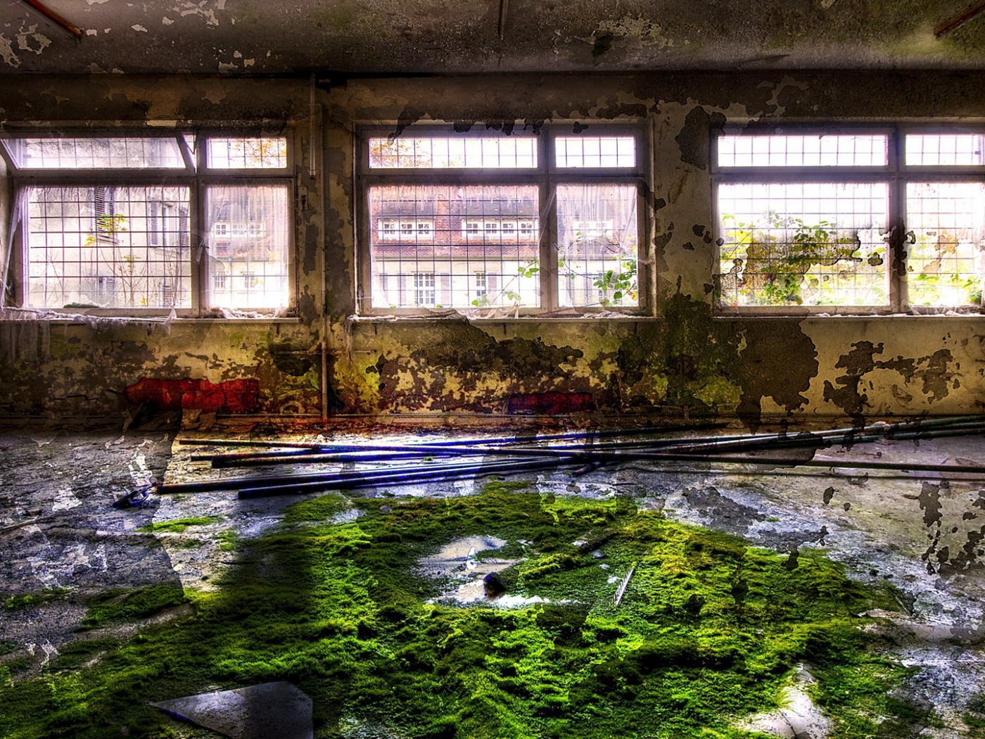 Запустение обои