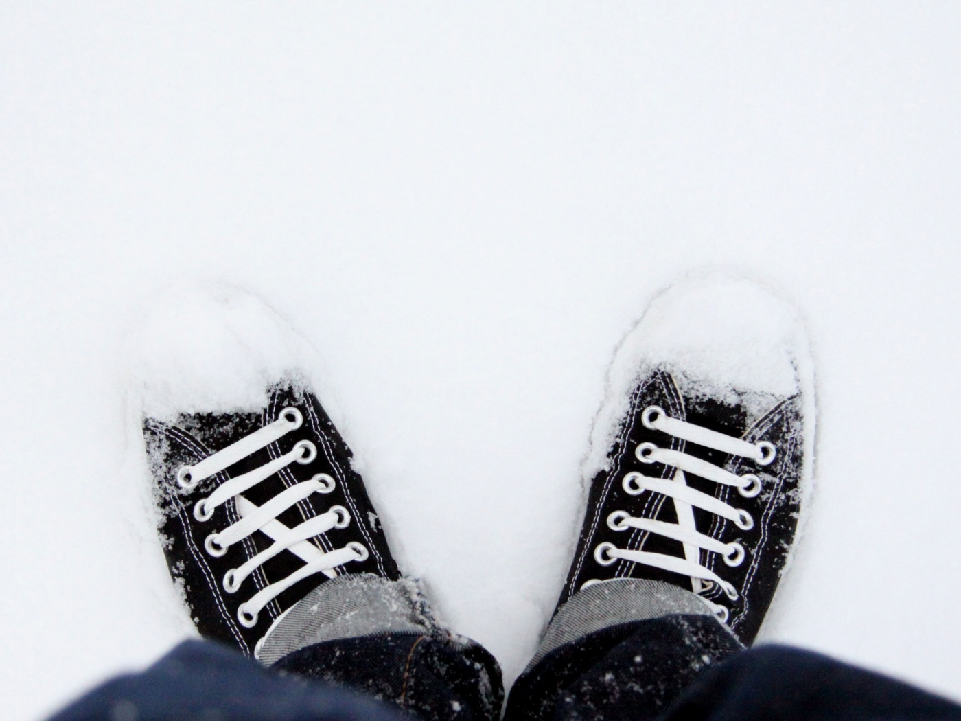 Дурак зимой в кедах обои