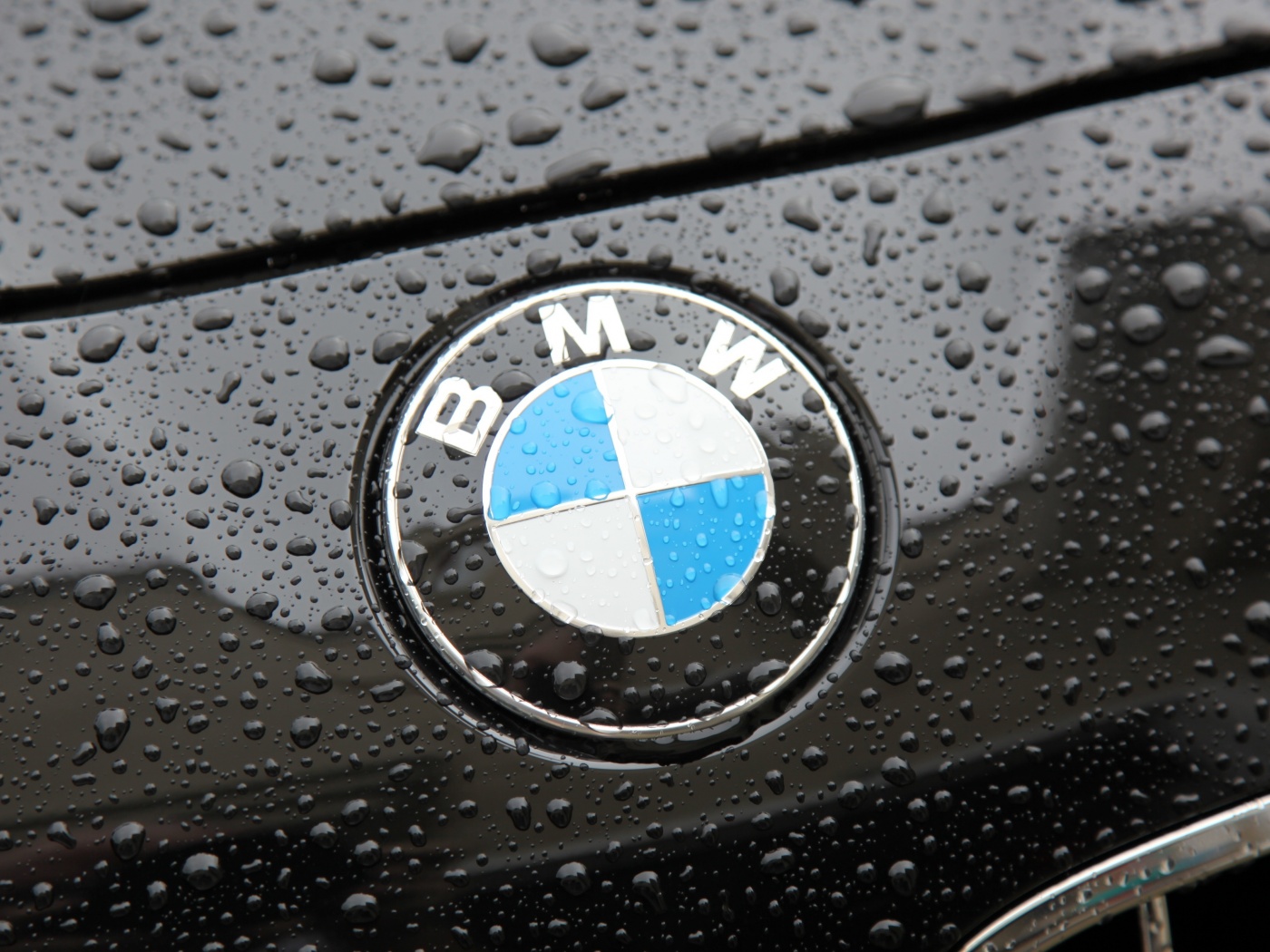 Эмблема БМВ обои