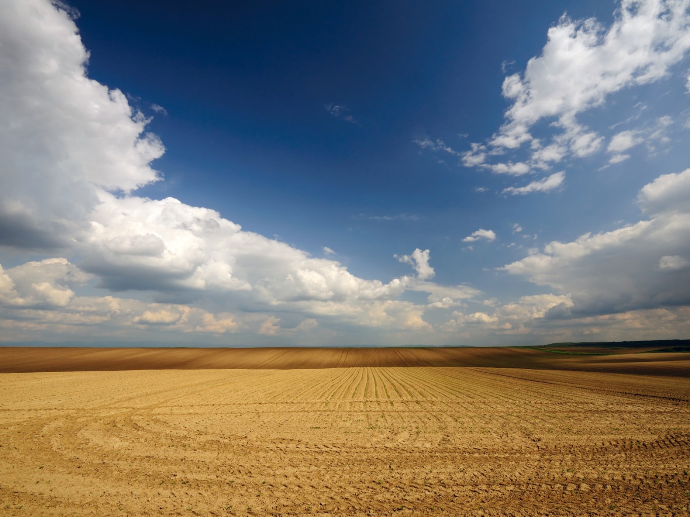 Незасеянное поле обои