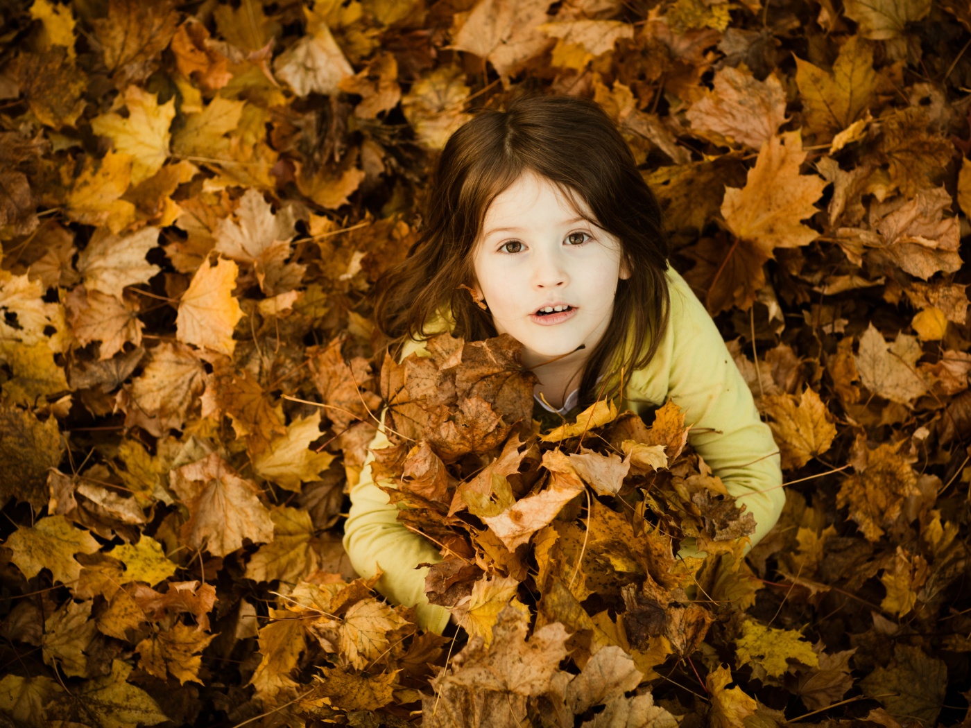 Девочка и осень обои