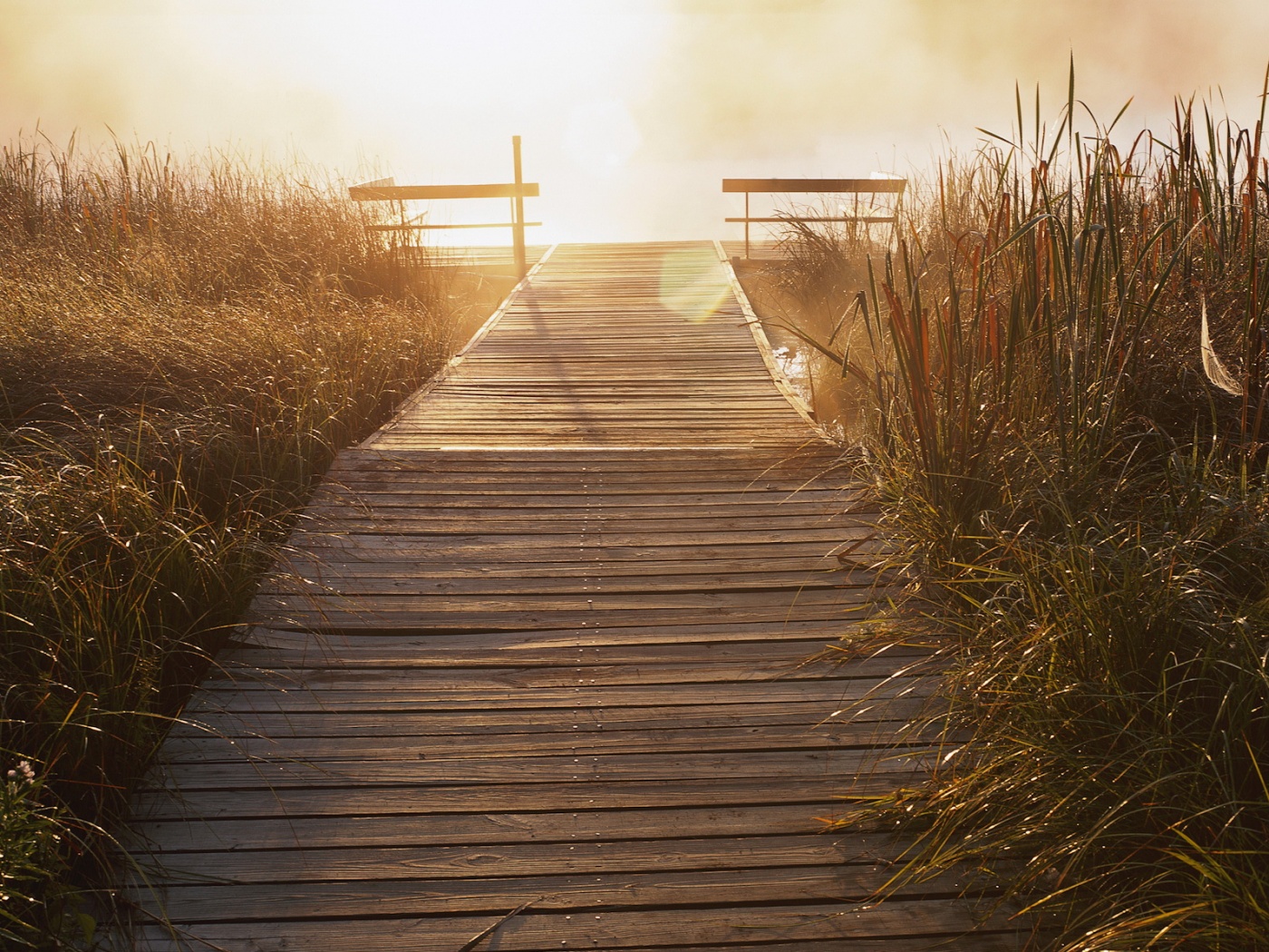 Выход к реке обои