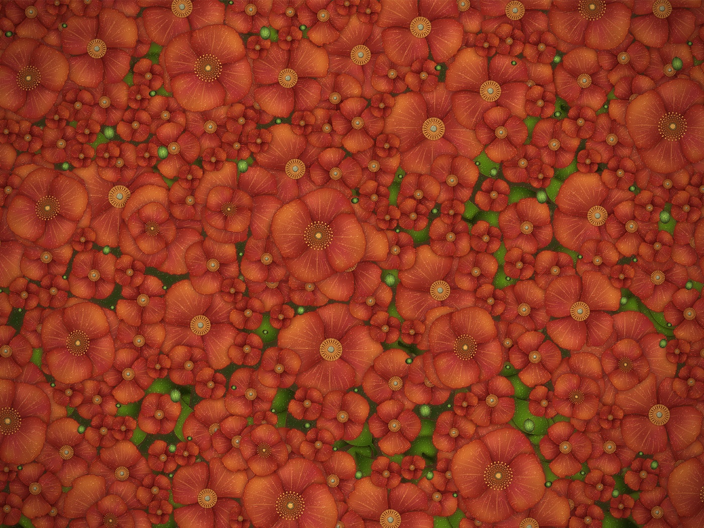 Рисунко с красными цветами обои