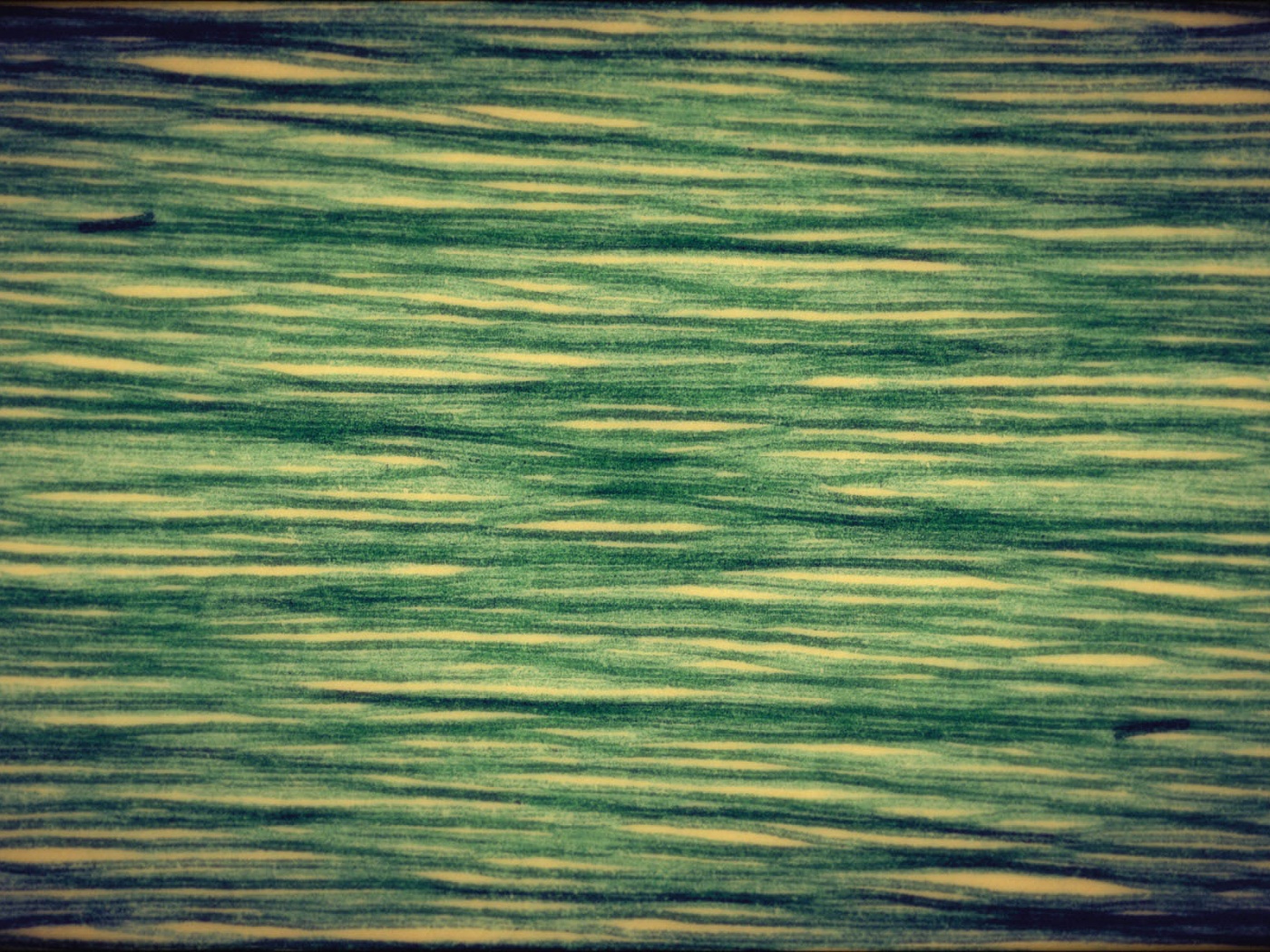 Обои для Mac Book обои