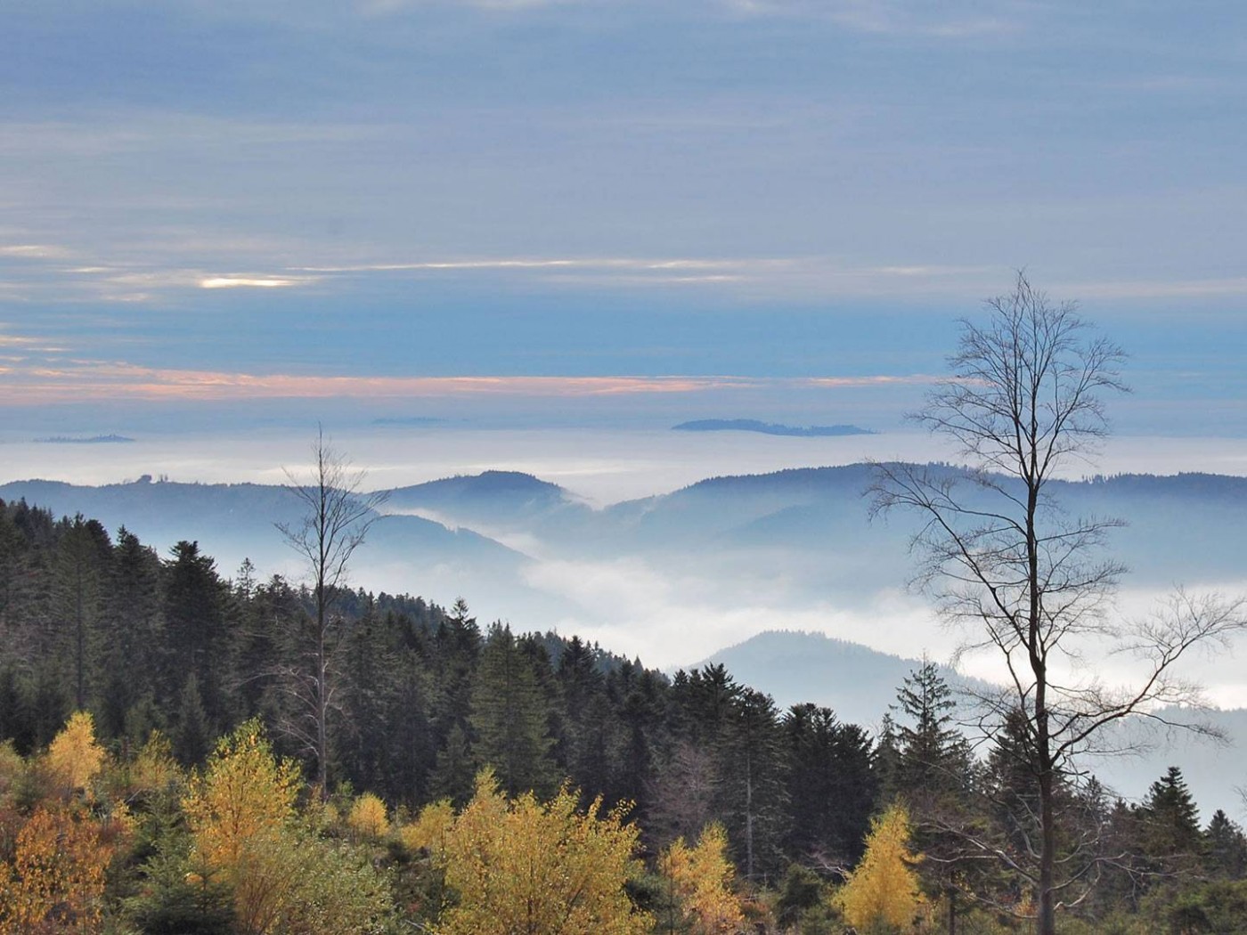 Холмы в тумане обои