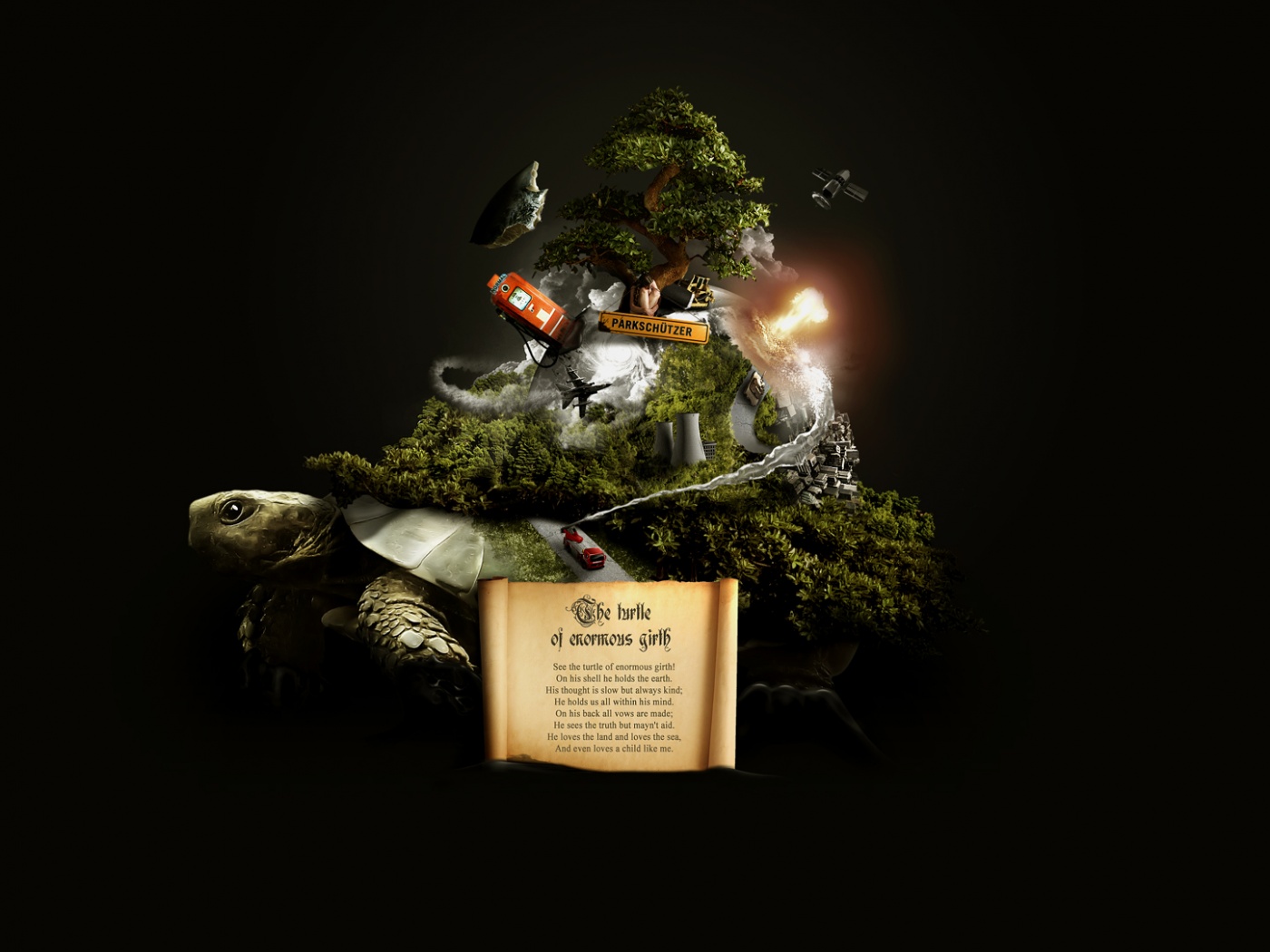 Огромная в обхвате черепаха обои