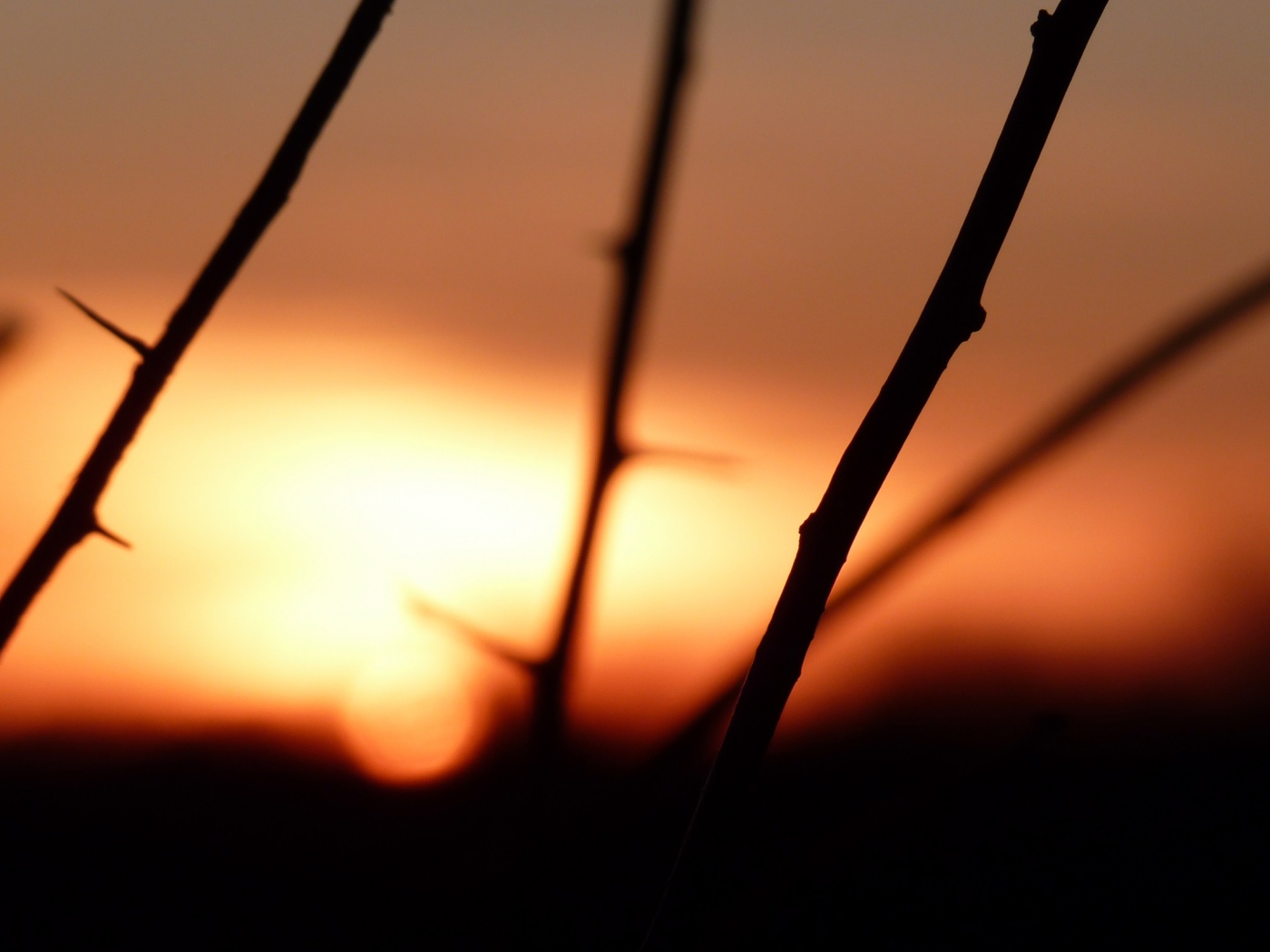 Закат солнца в поле обои