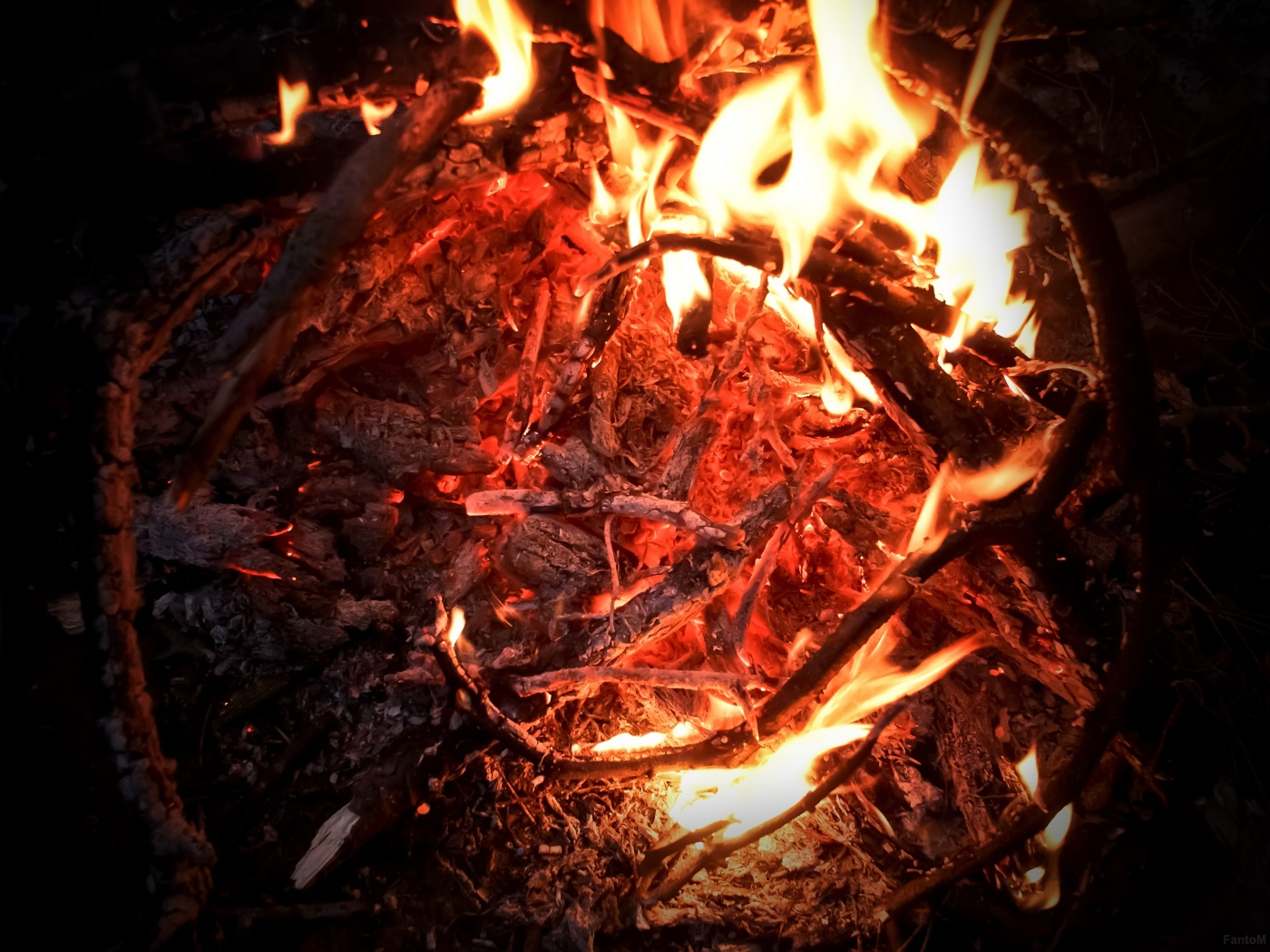 Костёр крупным планом обои