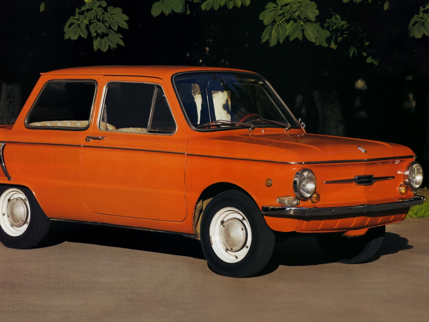 Оранжевый ушастый запорожец обои