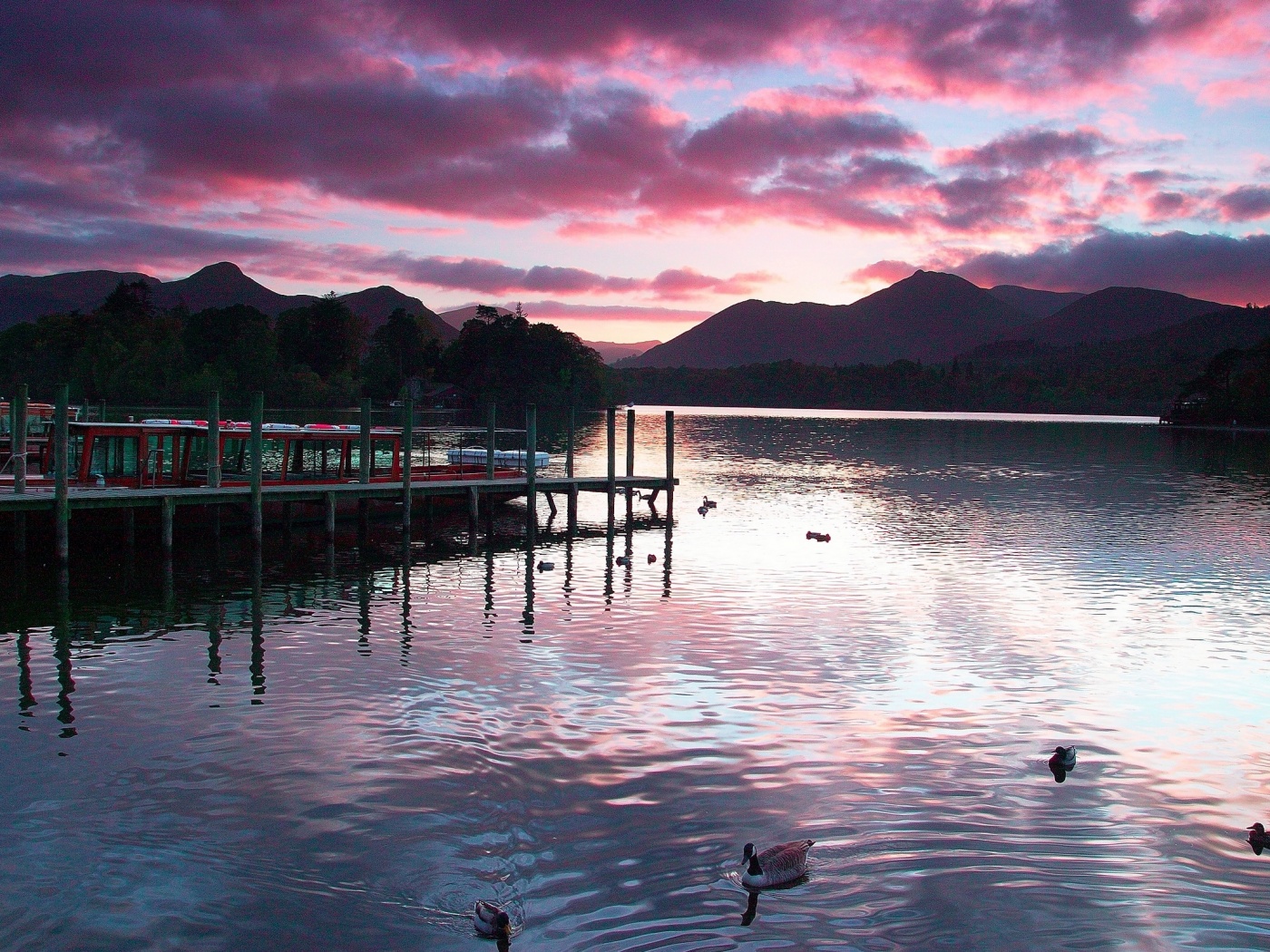 Причал на озере и утки обои