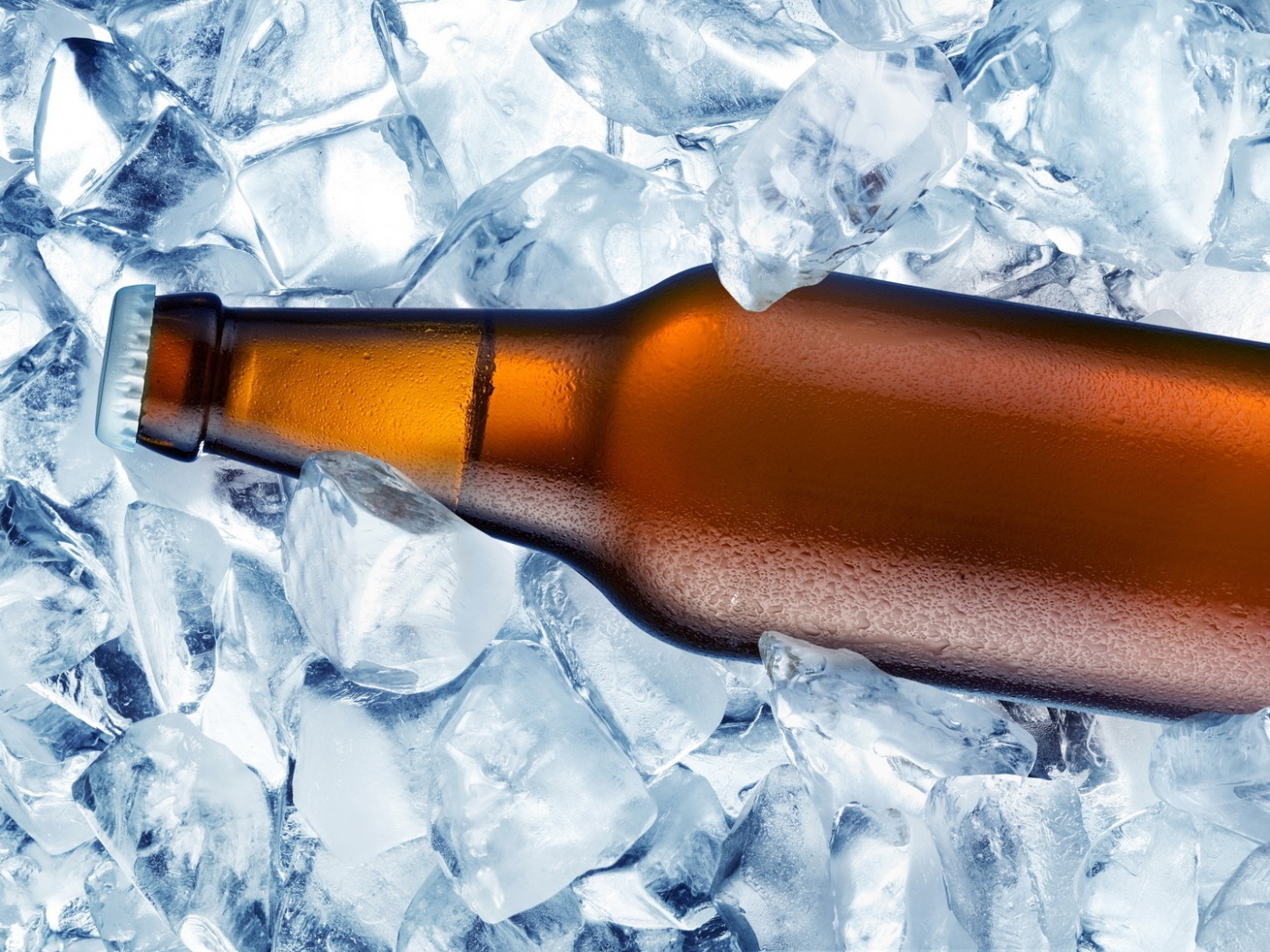 Бутылка пива во льду обои