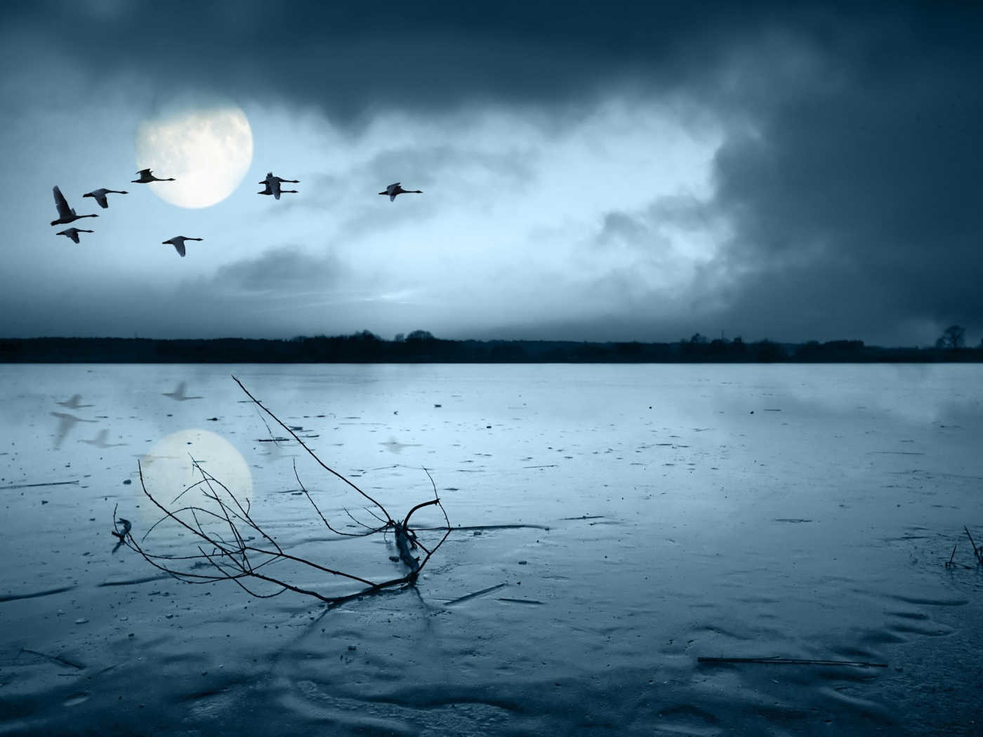 Полет птиц над озером обои