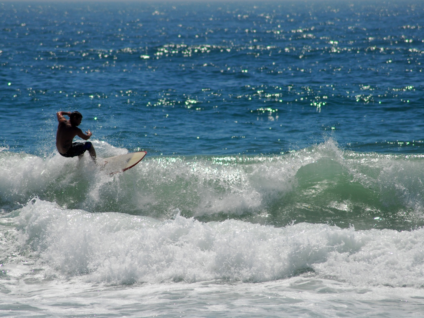 Сёрфенгист поймал волну обои