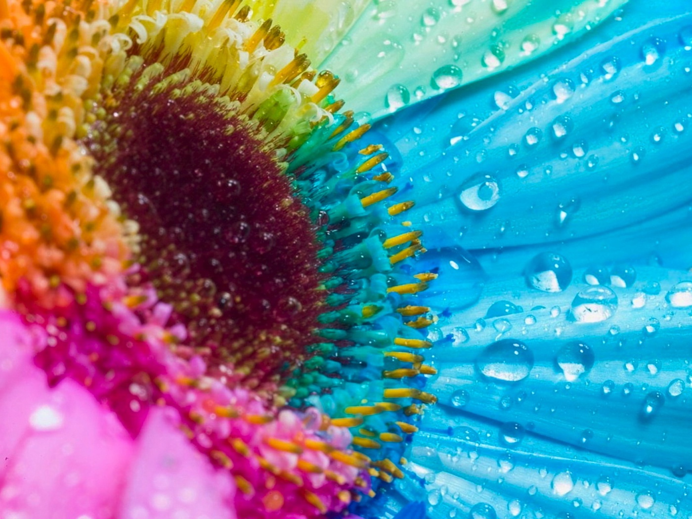 Цветик семицветик обои