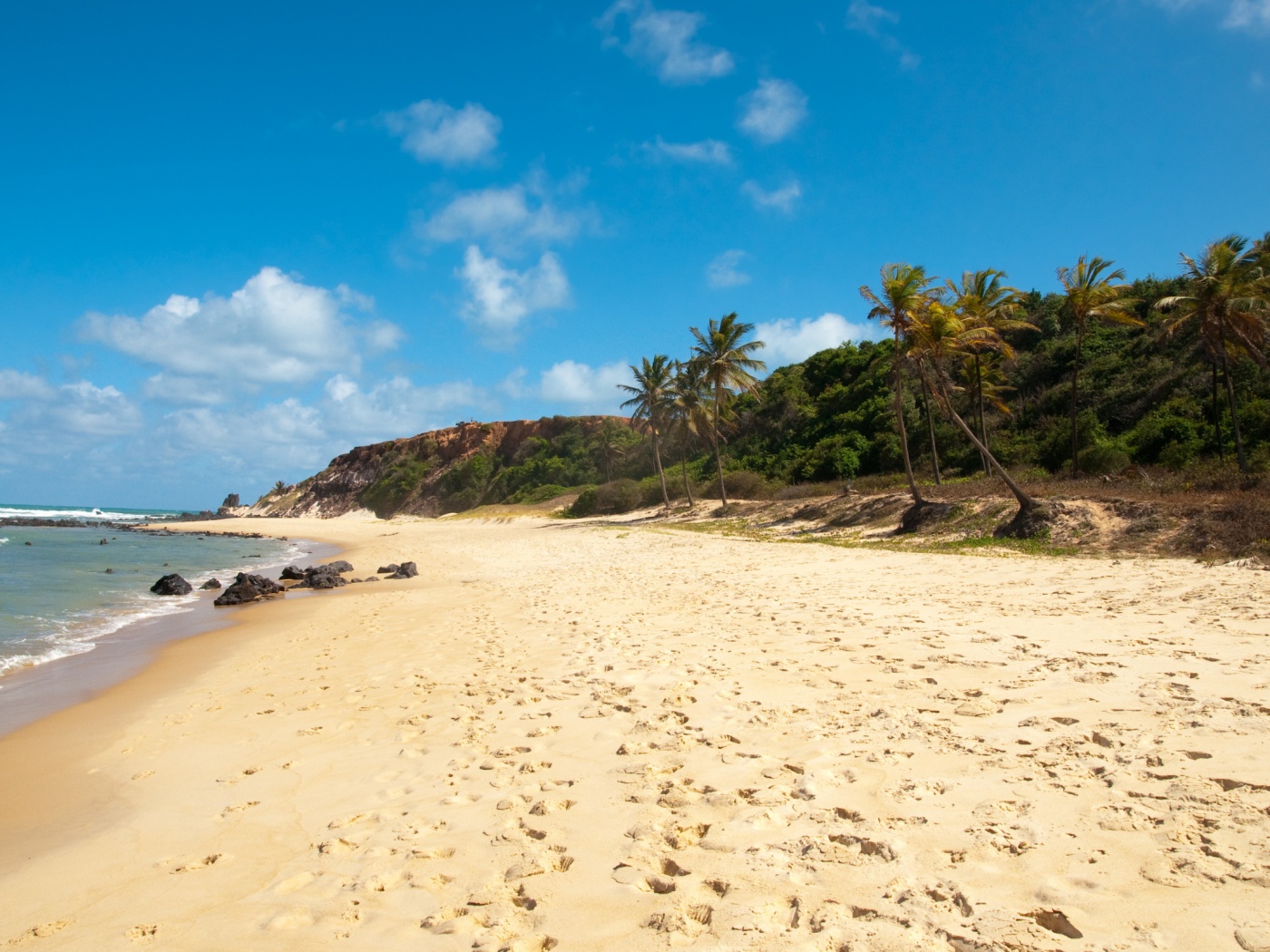 Туры в Бразилию в Лондрину обои