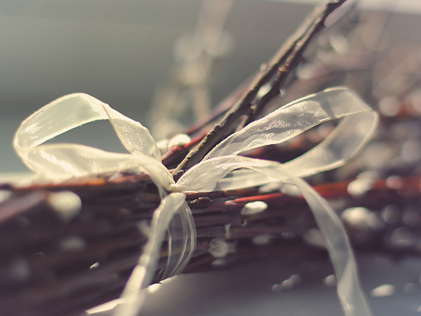 Букет вербы обои