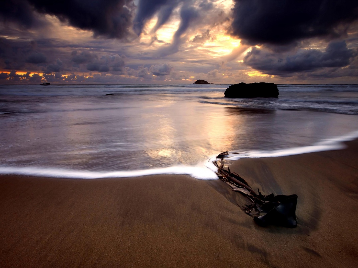 Коряга на пляже обои