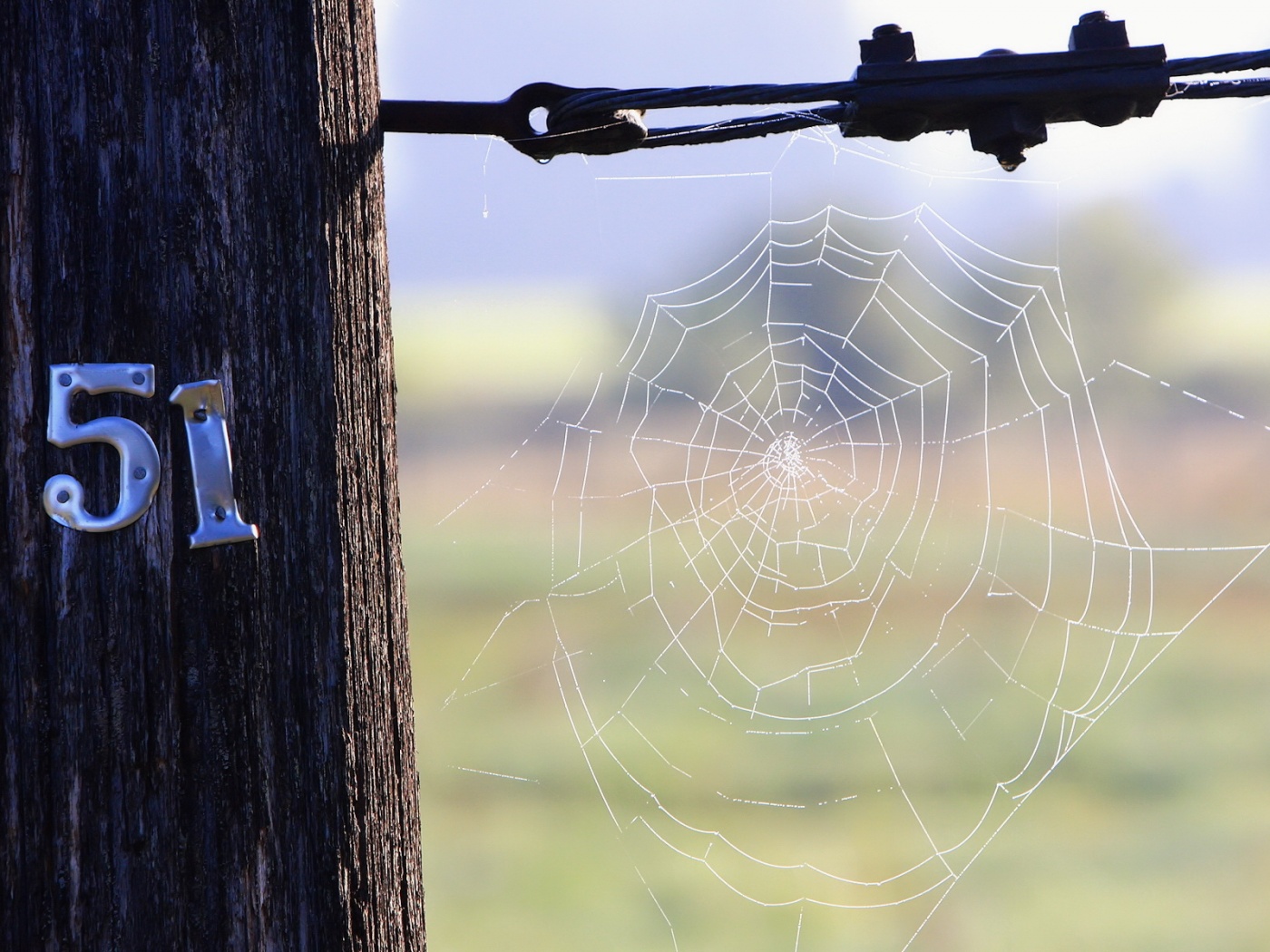 Паутина 51 обои