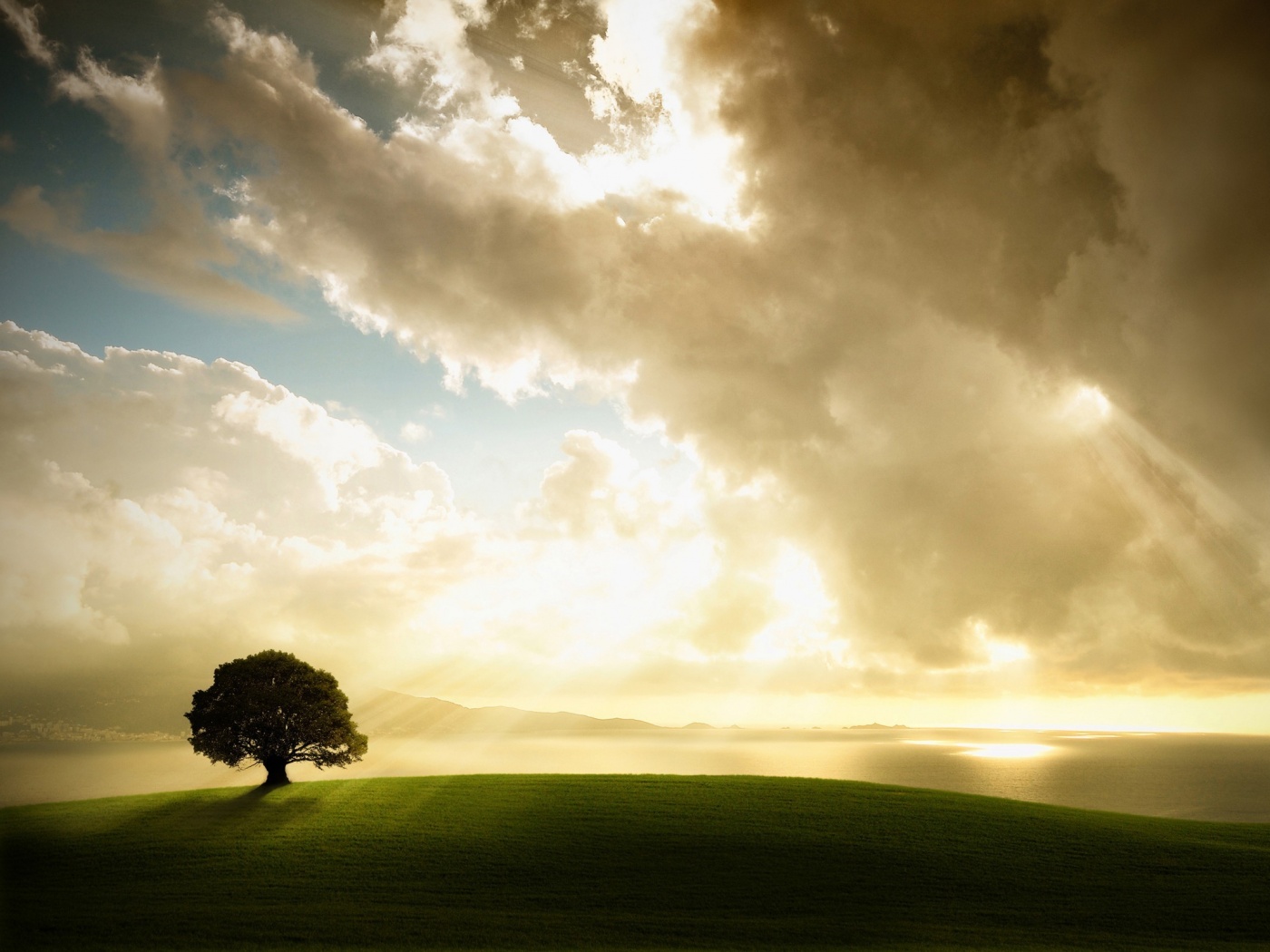 Холм и дерево обои