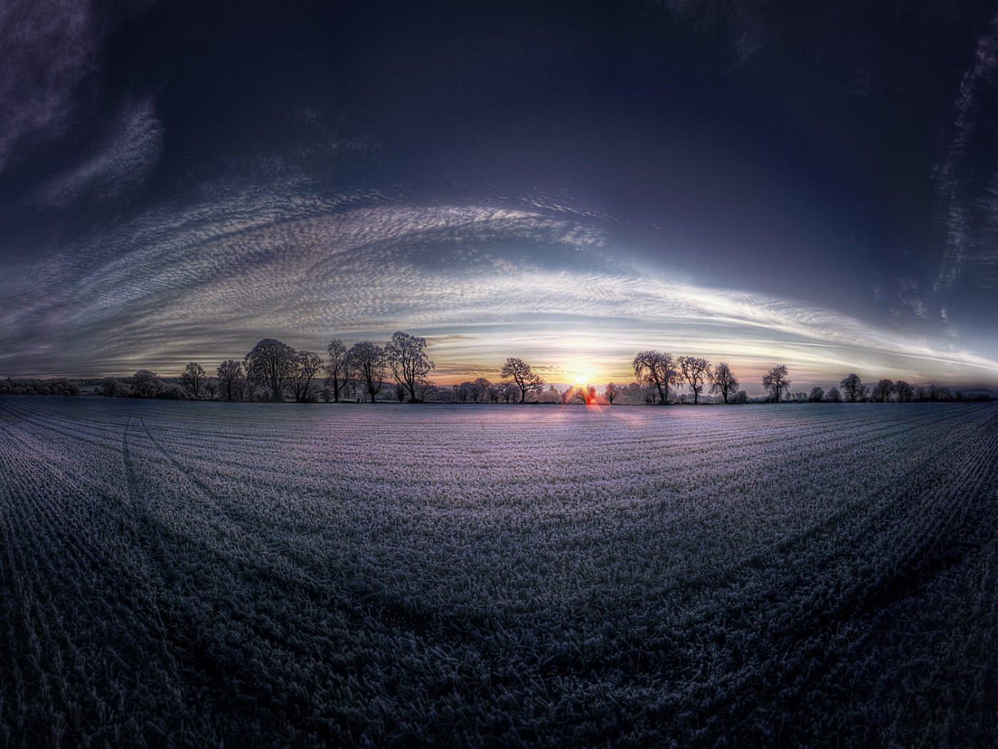 Поле широкоугольным объективом обои