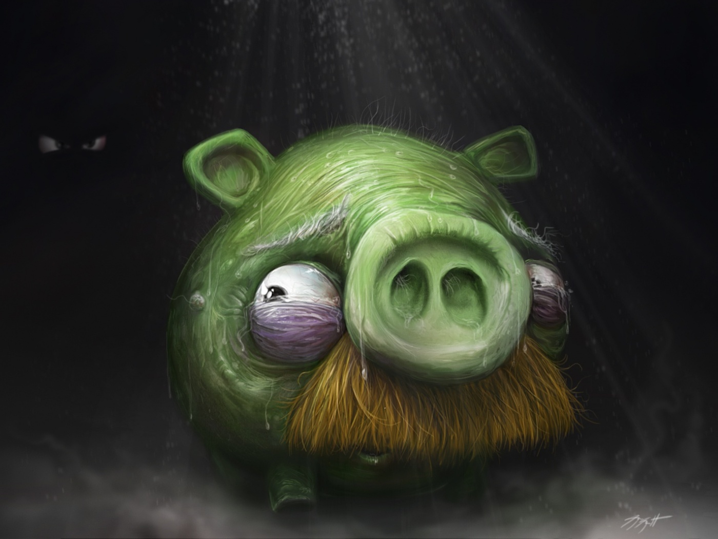 Свинья из Angry Birds обои