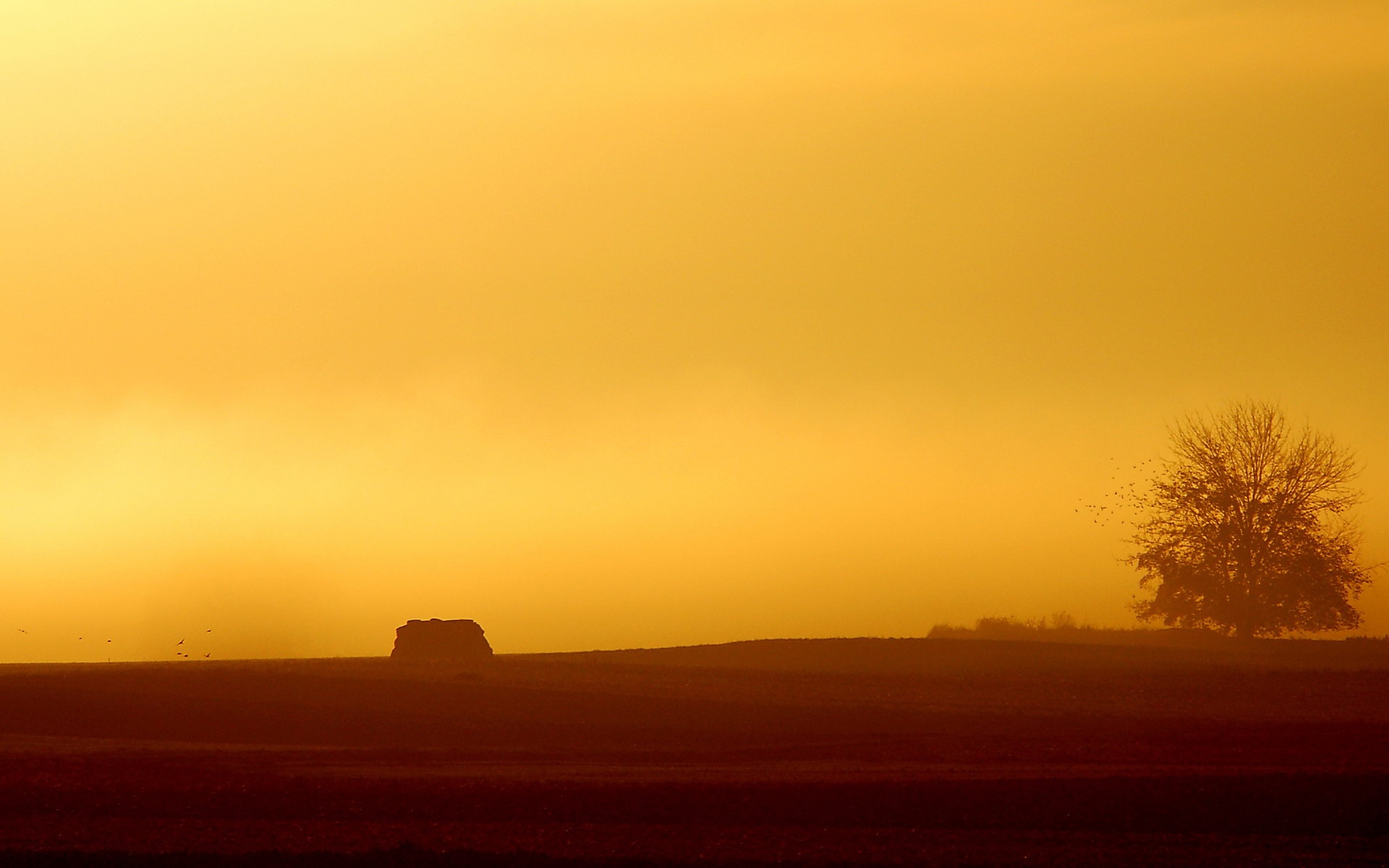 Убранное поле обои