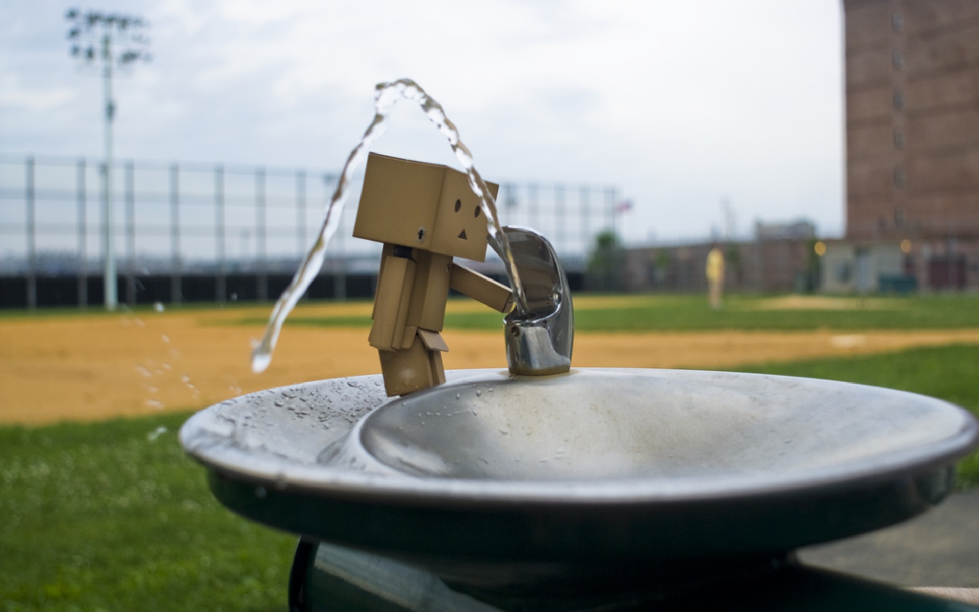 Дандо пьет в воду из фонтанчика обои